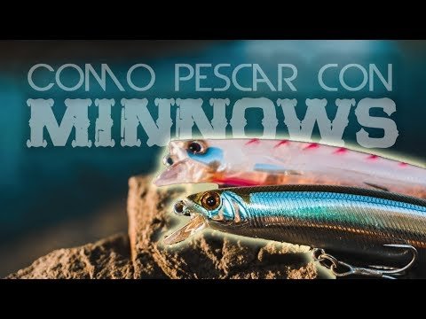 Cómo PESCAR con MINNOWS a SPINNING