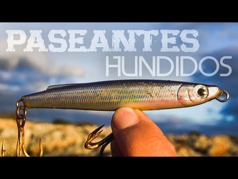 Cómo PESCAR con PASEANTES HUNDIDOS / STICKBAITS