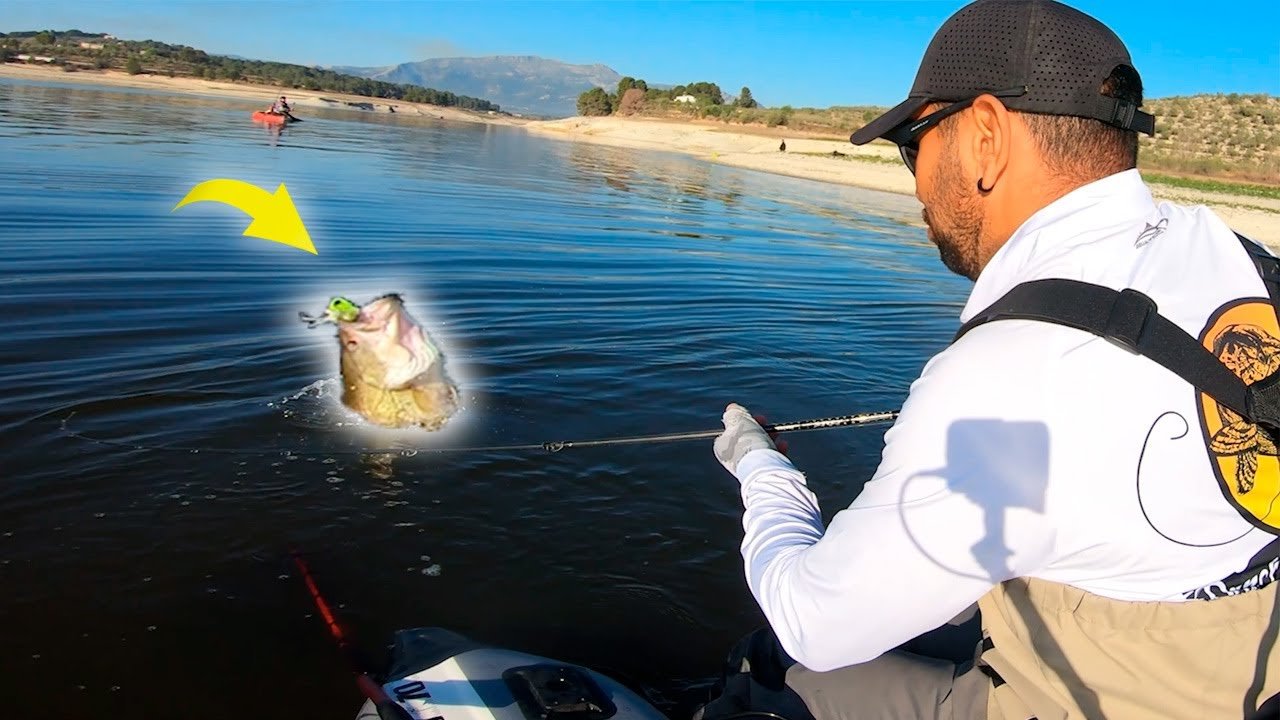 ¿Cómo PESCO en COMPETICIÓN en AGUAS TURBIAS?