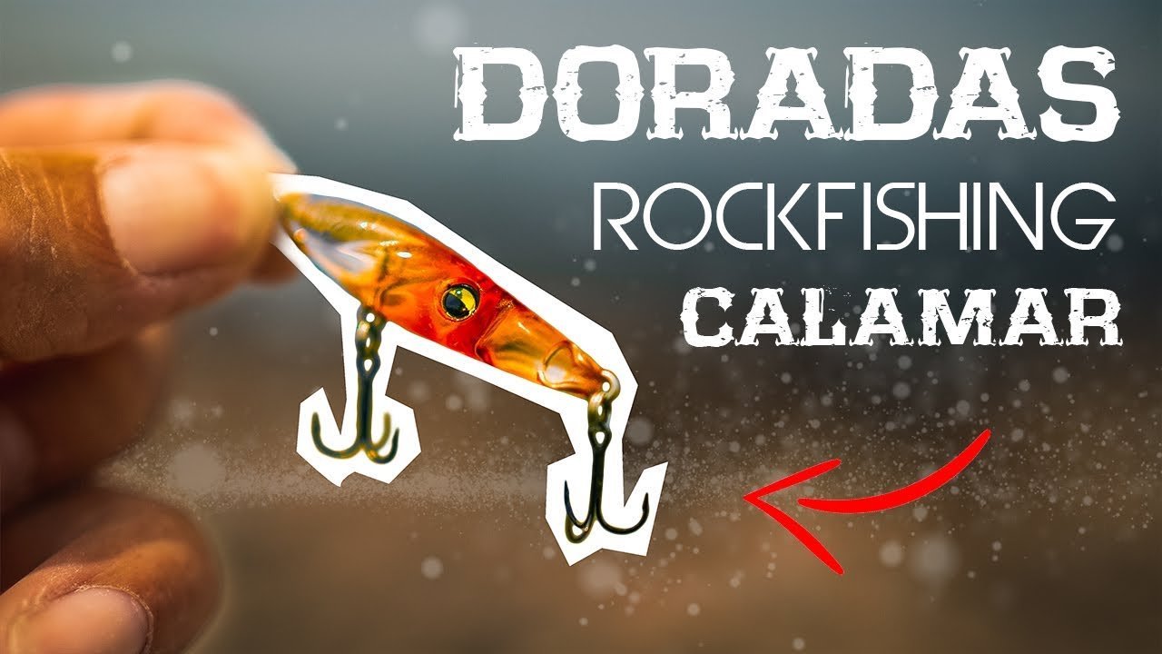 con     a ROCKFISHING [Probando SEÑUELOS] | Lured Vlog 140