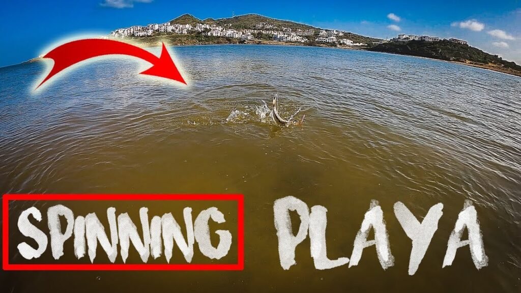 Creí que sería una LUBINA [Pesca desde PLAYA con AGUA TURBIA] | Lured Vlog 132