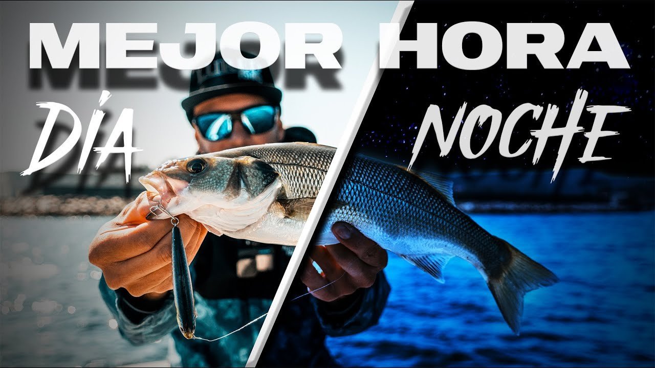 ¿CUÁL es la MEJOR HORA para PESCAR Spinning?