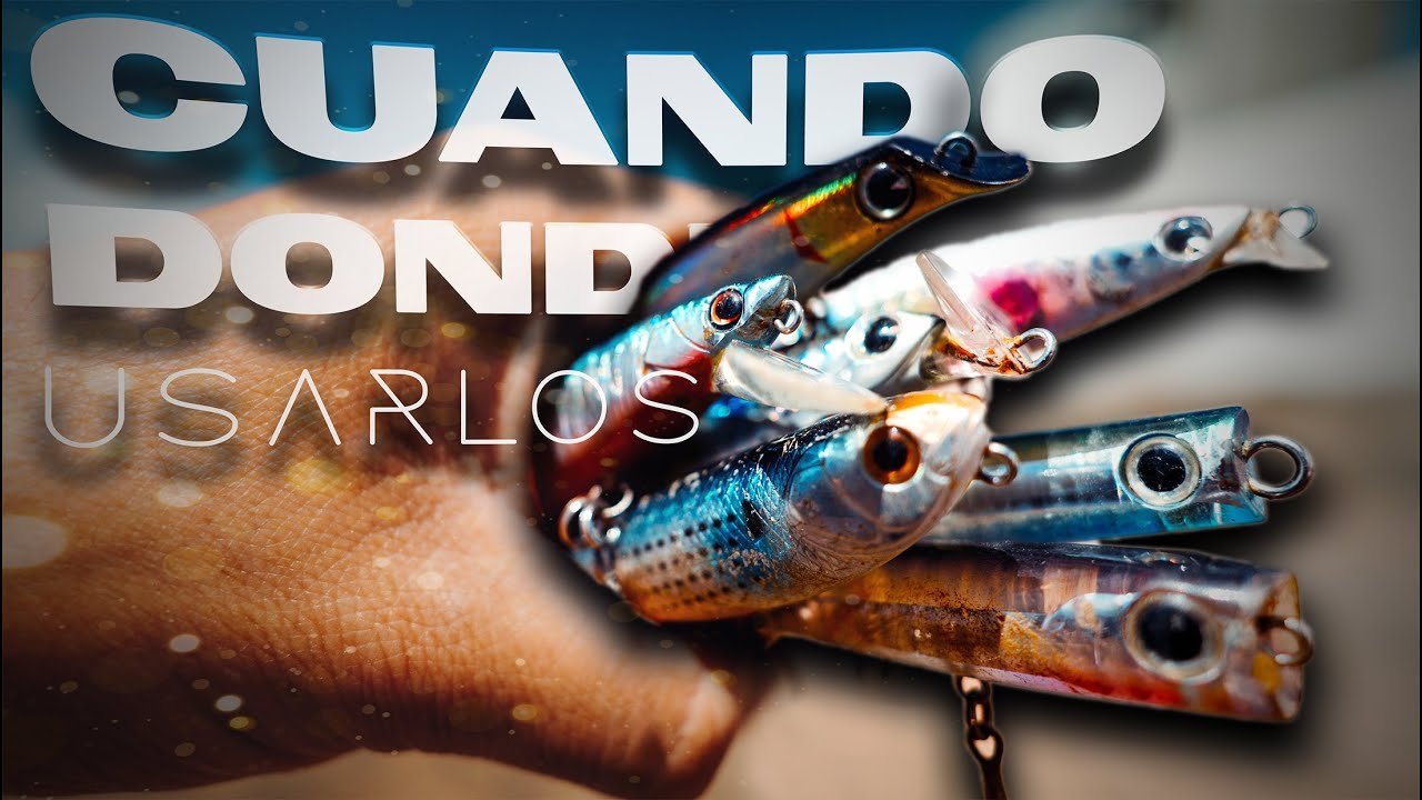 CUANDO y DONDE usar CADA Señuelo [Pesca Spinning]