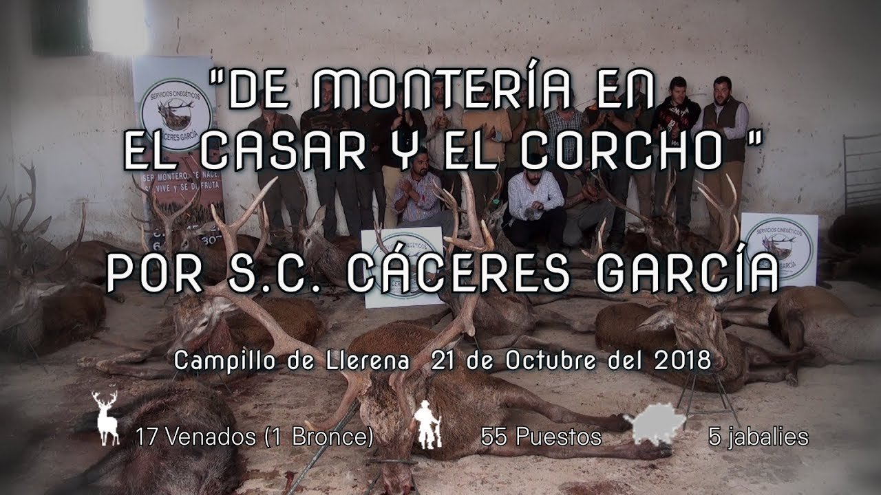 DE MONTERÍA EN EL CASAR -EL CORCHO POR S.C . CÁCERES GARCIA Día 21 de Octubre del 2018.