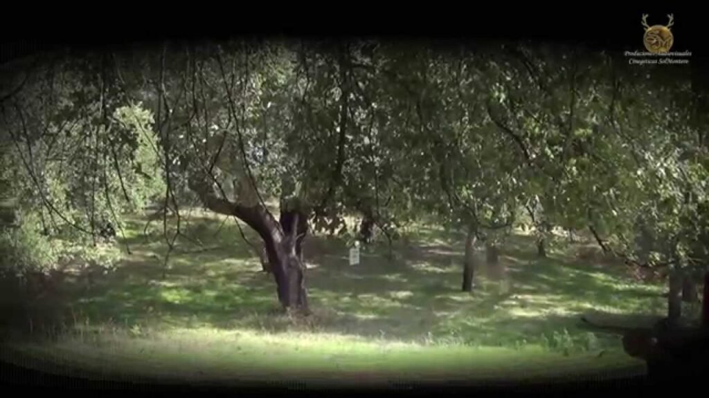 DE MONTERÍA EN LAS TERRONAS CON EL RINCÓN CINEGETICO