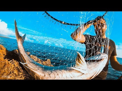 ¡¡DEMASIADO GRANDE para ese equipo!! | Lured Vlog 64