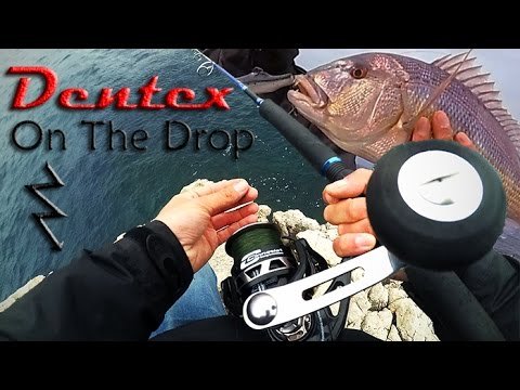 Dentón a la caída | Spinning