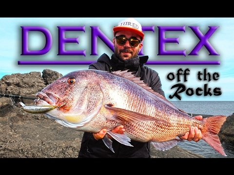 Dentón desde costa | Spinning