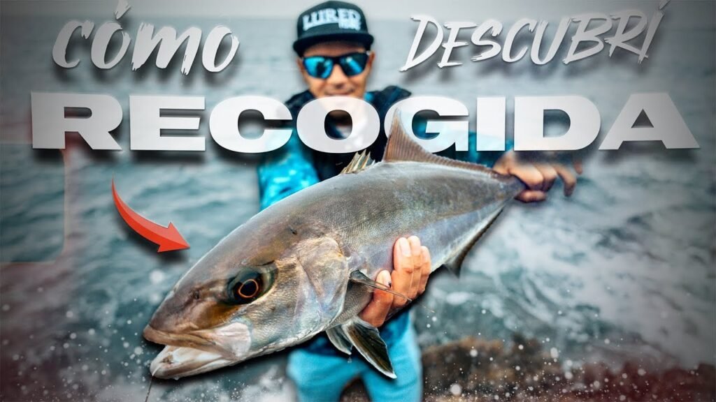 Descubrí cómo RECOGER para SERVIOLAS de ESTA forma