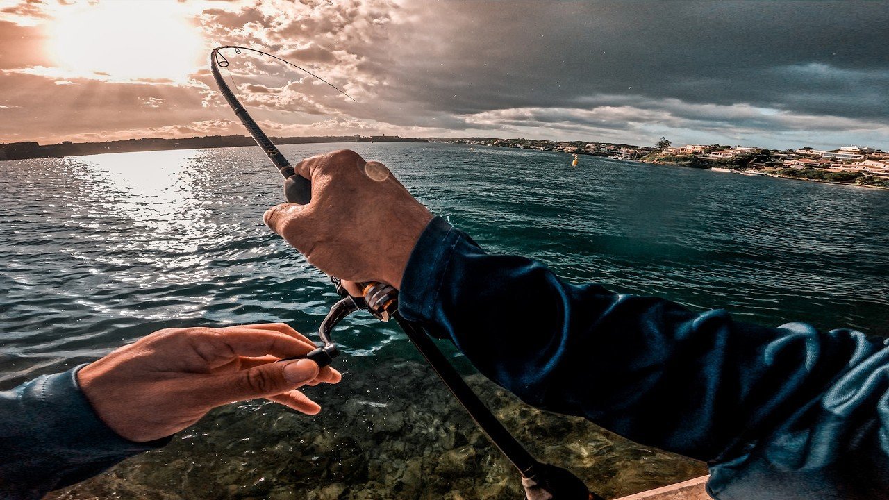 Di con la CLAVE para los Peces PELÁGICOS que había [         ] | Lured Vlog 329