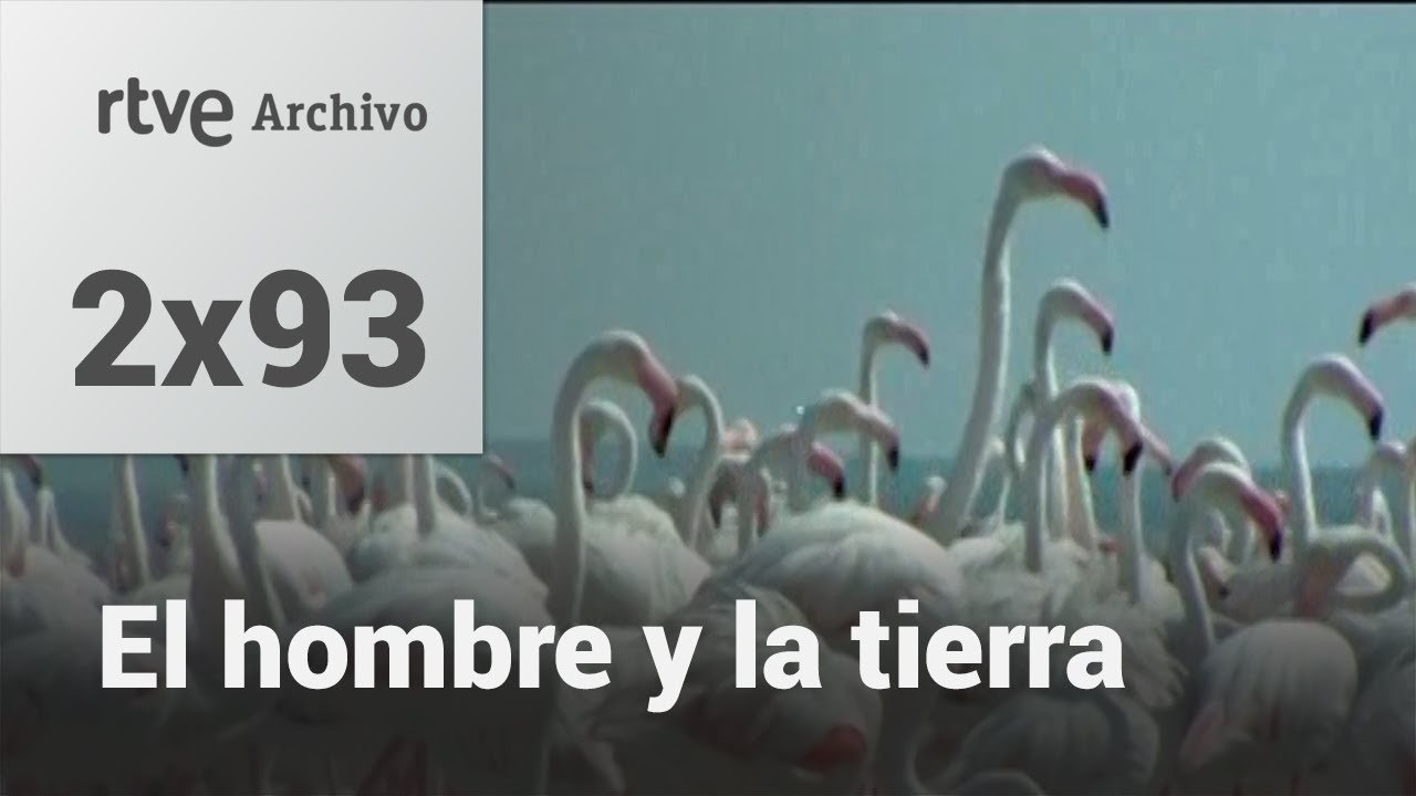 El hombre y la tierra: Capítulo 108 - Los flamencos | RTVE Archivo
