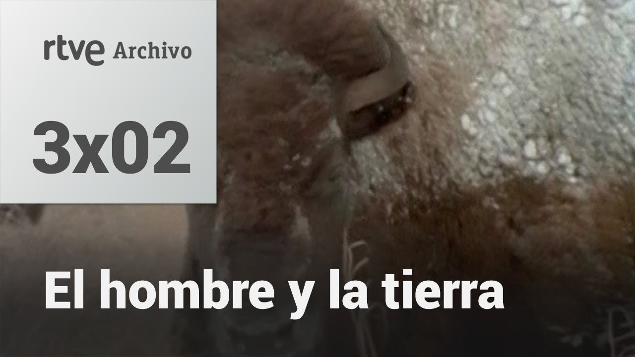 El hombre y la tierra: Capítulo 110 - Aventura en Canadá | RTVE Archivo