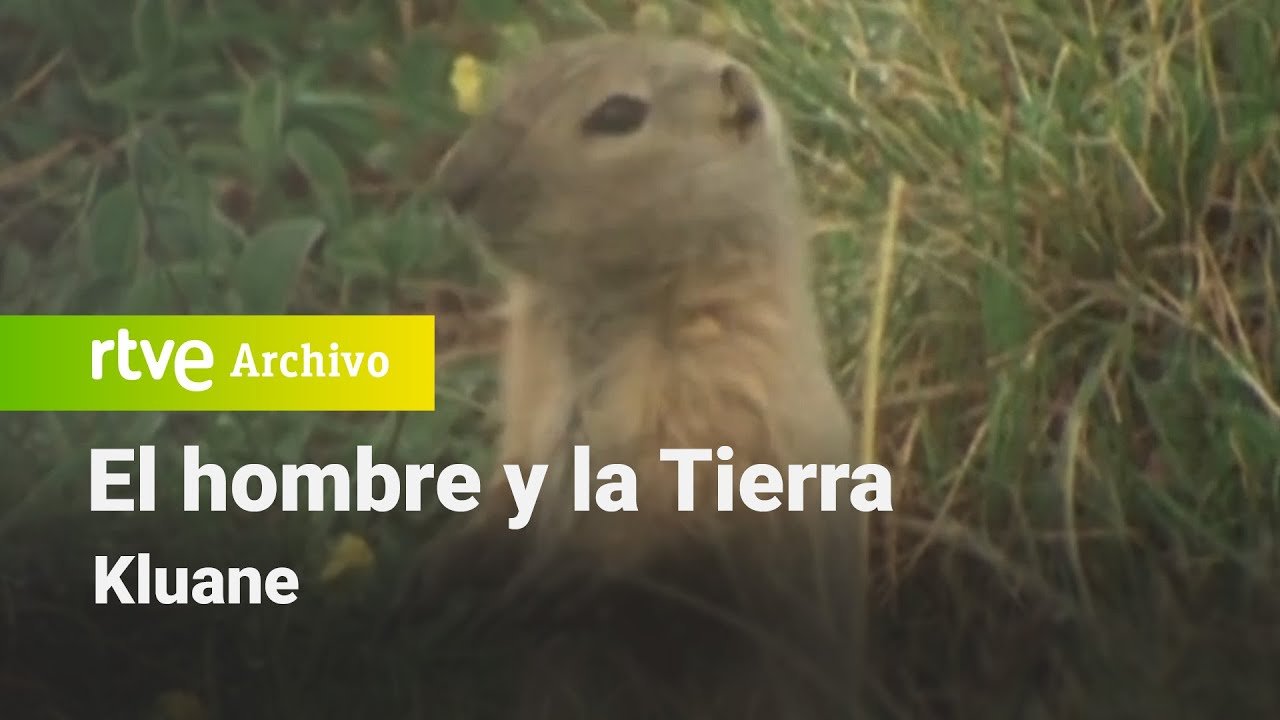 El hombre y la tierra: Capítulo 114 - Kluane | RTVE Archivo