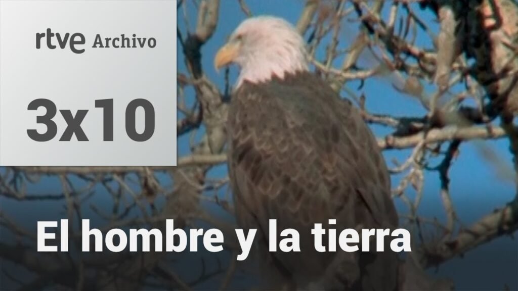 El hombre y la tierra: Capítulo 118 - Operación rescate | RTVE Archivo