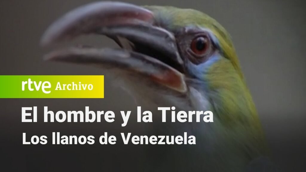 El hombre y la Tierra: Capítulo 13 - Los llanos de Venezuela | RTVE Archivo