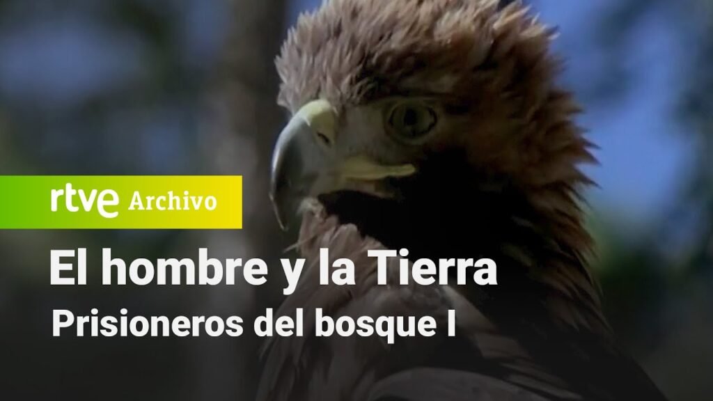El hombre y la tierra: Capítulo 19 - Los prisioneros del bosque I | RTVE Archivo