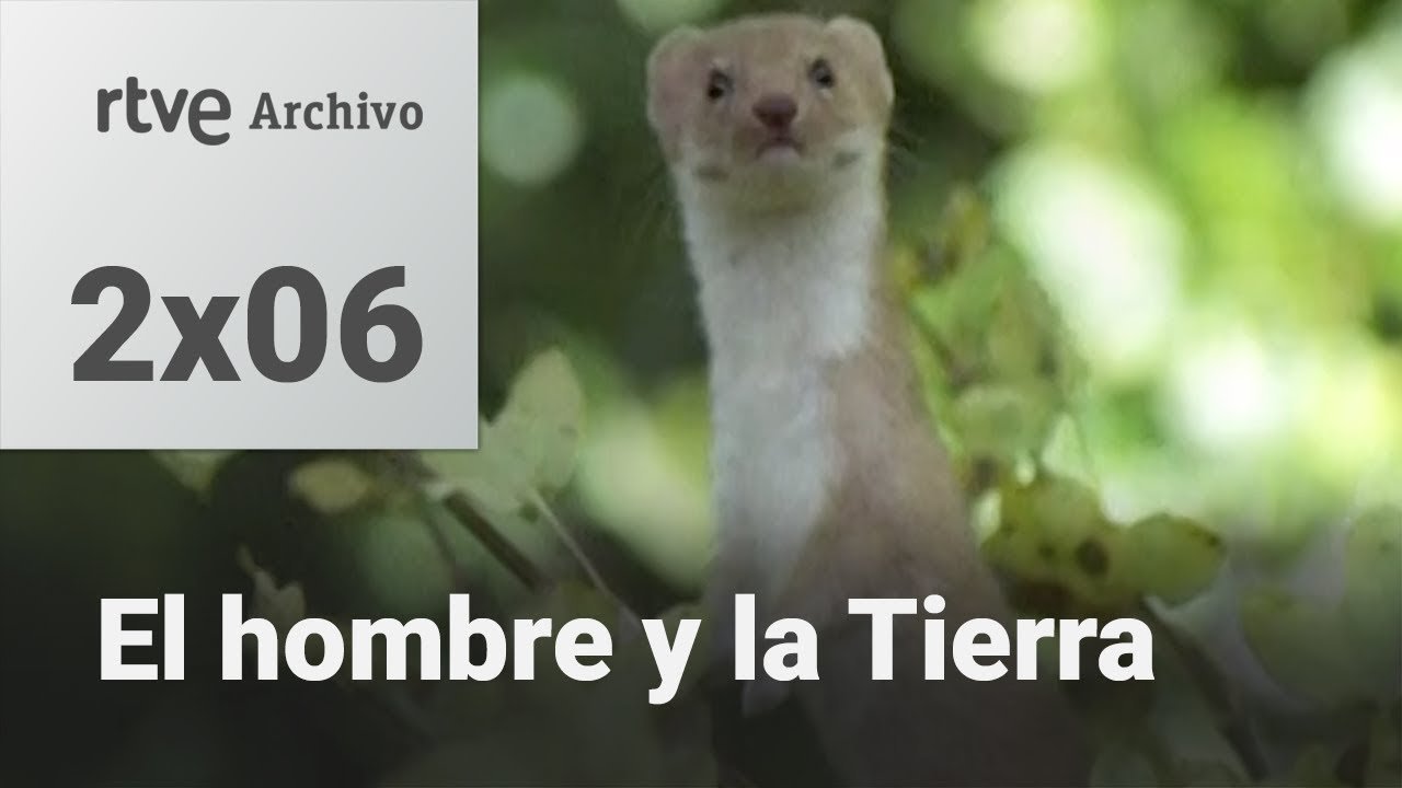 El hombre y la tierra: Capítulo 24 - Los pequeños matadores II | RTVE Archivo
