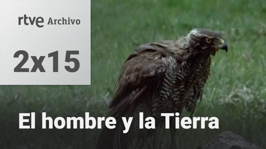 El hombre y la tierra: Capítulo 33 - El pirata de la espesura | RTVE Archivo