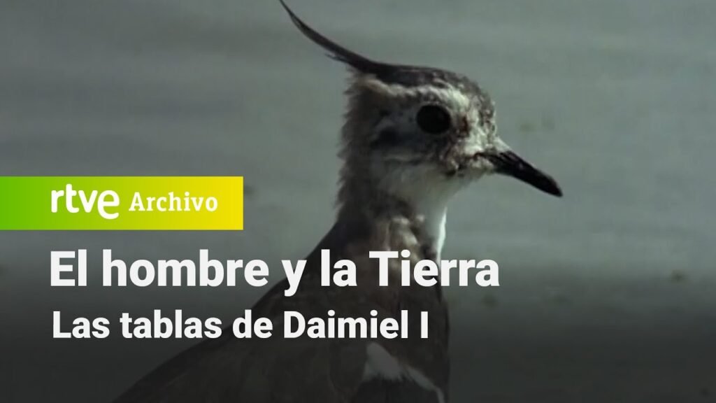 El hombre y la tierra: Capítulo 34 - Las tablas de Daimiel I | RTVE Archivo
