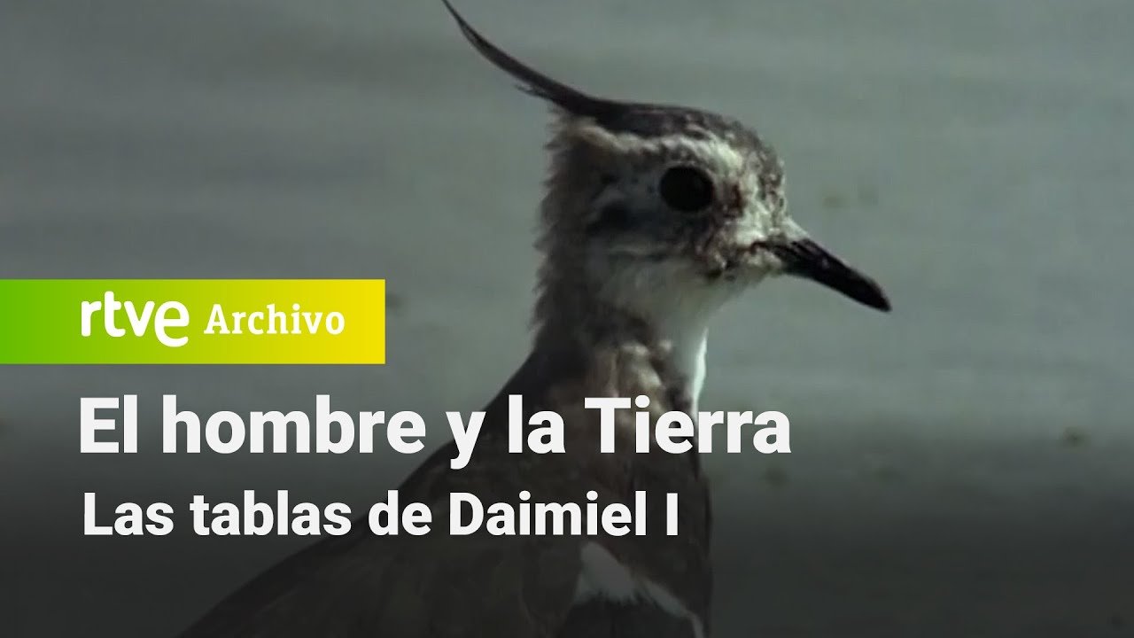 El hombre y la tierra: Capítulo 34 - Las tablas de Daimiel I | RTVE Archivo
