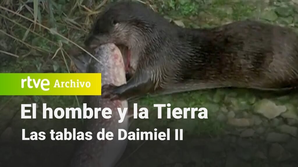 El hombre y la tierra: Capítulo 35 - Las tablas de Daimiel II | RTVE Archivo