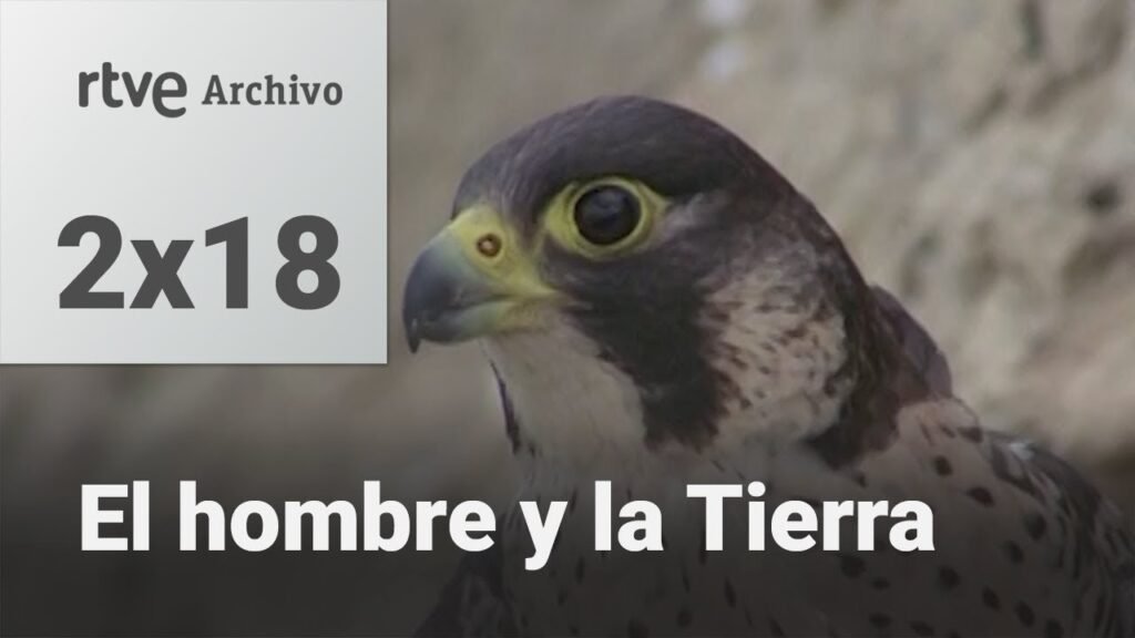 El hombre y la tierra: Capítulo 36 - El proyectil viviente | RTVE Archivo