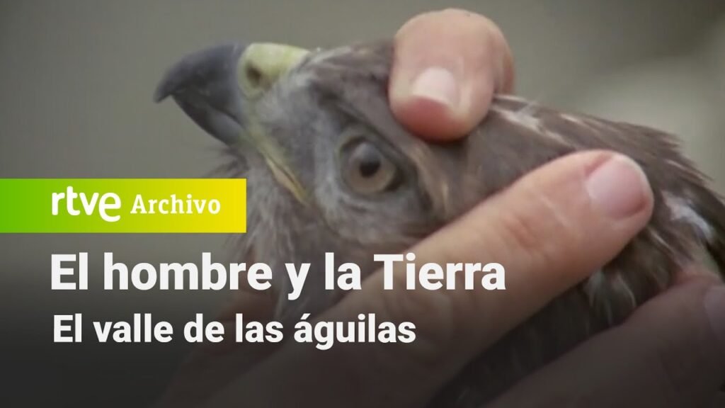El hombre y la tierra: Capítulo 37 - El valle de las águilas | RTVE Archivo