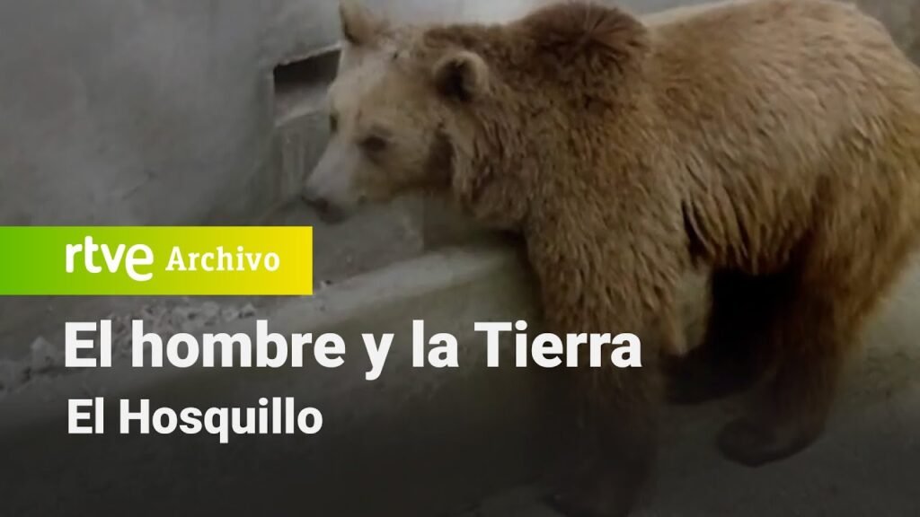 El hombre y la tierra: Capítulo 41 - El Hosquillo | RTVE Archivo