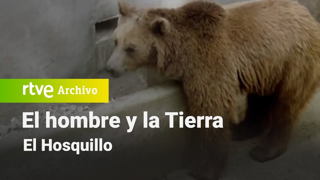 El hombre y la tierra: Capítulo 41 - El Hosquillo | RTVE Archivo