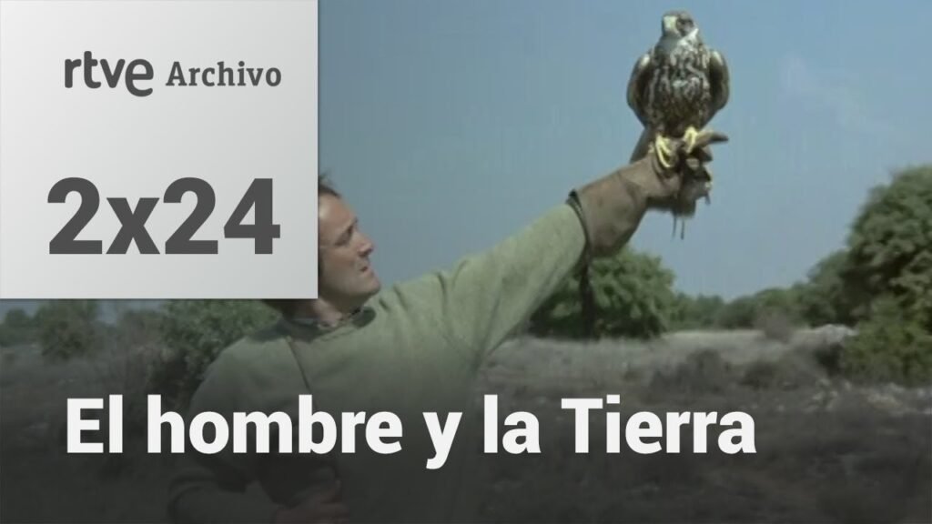 El hombre y la tierra: Capítulo 42 - Altanería I | RTVE Archivo