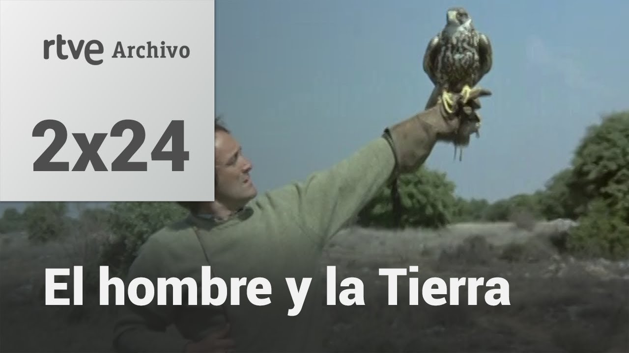 El hombre y la tierra: Capítulo 42 - Altanería I | RTVE Archivo