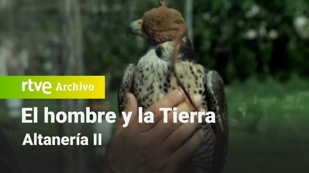 El hombre y la tierra: Capítulo 43 - Altanería II | RTVE Archivo