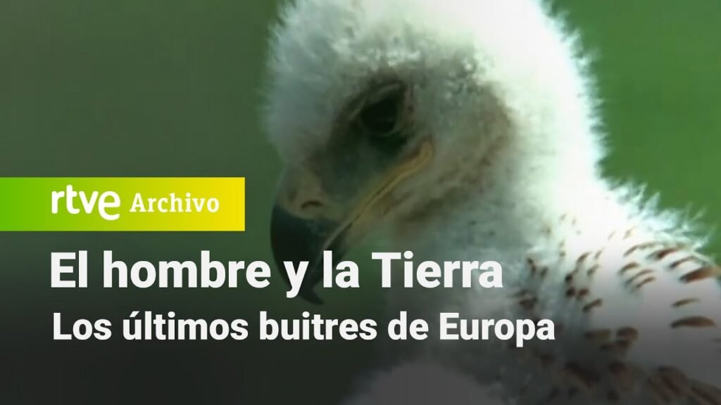 El hombre y la tierra: Capítulo 45 - Los últimos buitres de Europa | RTVE Archivo
