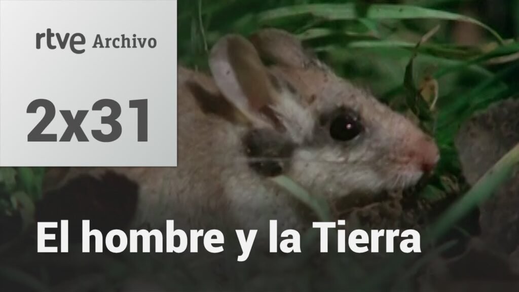 El hombre y la tierra: Capítulo 49 - El lirón careto II | RTVE Archivo