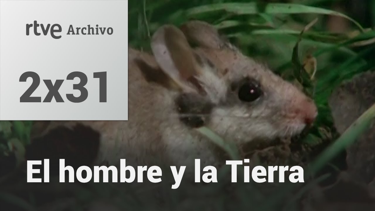 El hombre y la tierra: Capítulo 49 - El lirón careto II | RTVE Archivo
