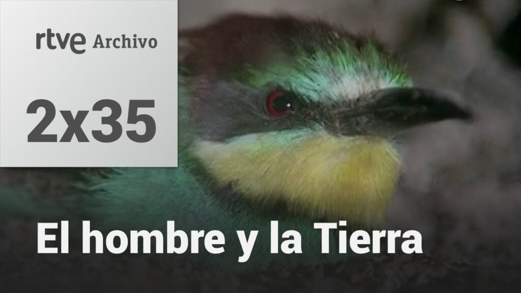 El hombre y la tierra: Capítulo 53 - El abejaruco I | RTVE Archivo