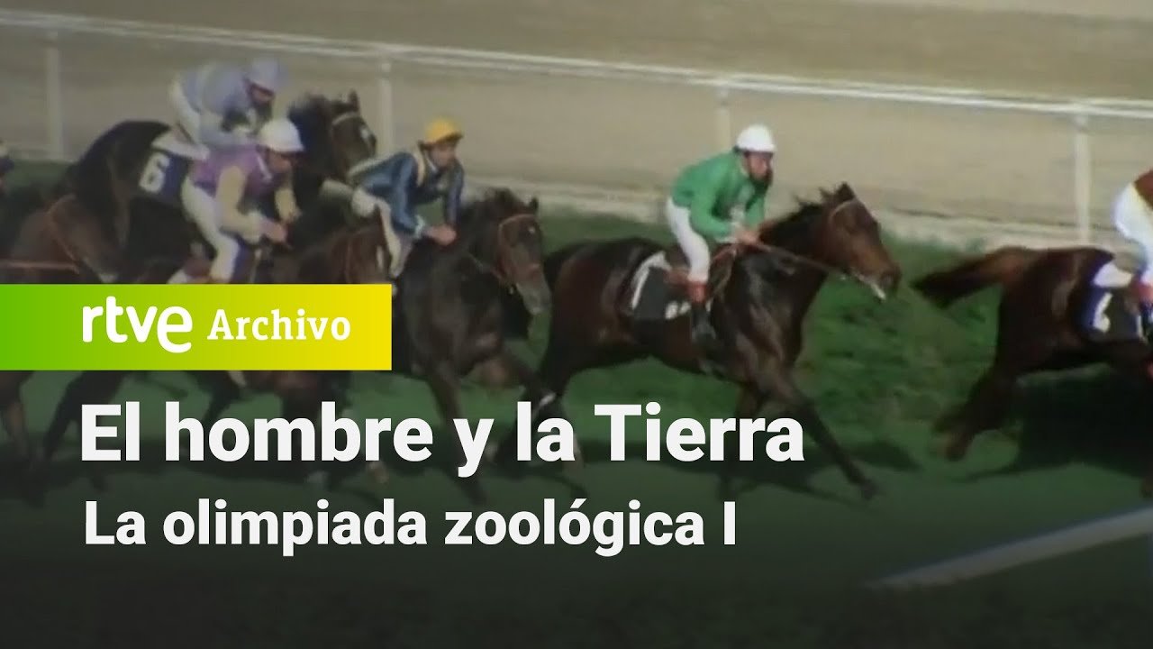 El hombre y la tierra: Capítulo 56 - La olimpiada zoológica I | RTVE Archivo