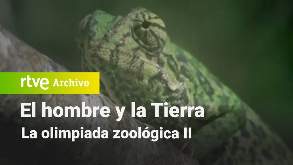 El hombre y la tierra: Capítulo 57 - La olimpiada zoológica II | RTVE Archivo