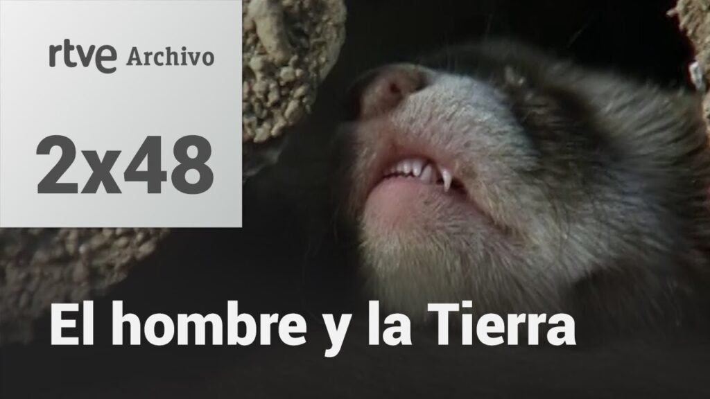 El hombre y la tierra: Capítulo 66 - El juego de la caza II | RTVE Archivo