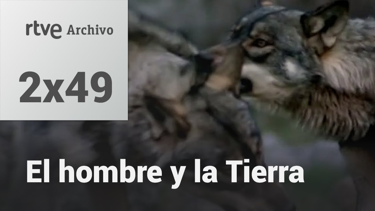 El hombre y la tierra: Capítulo 67 - El cazador social | RTVE Archivo