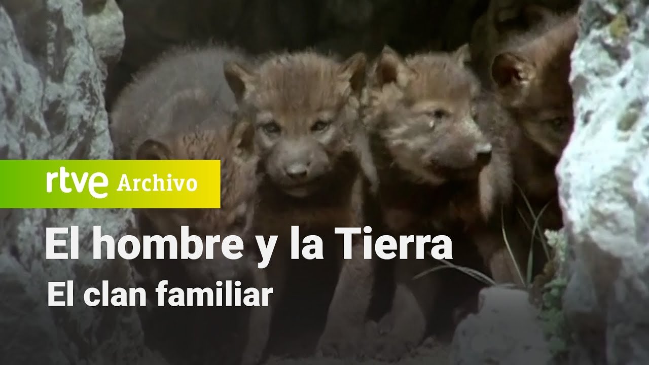 El hombre y la tierra: Capítulo 68 - El clan familiar | RTVE Archivo