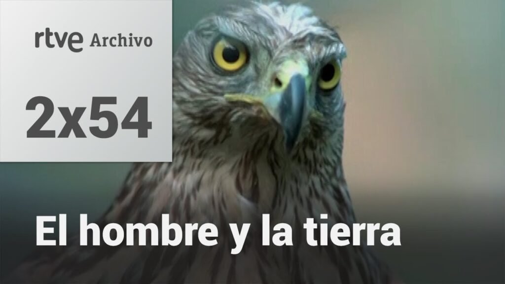 El hombre y la tierra: Capítulo 72 - Los córvidos parte II | RTVE Archivo