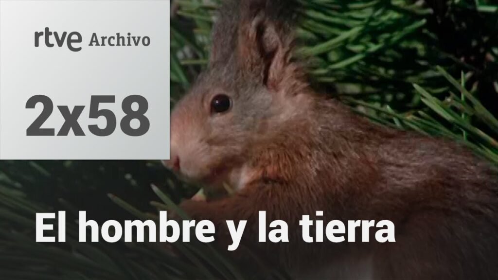 El hombre y la tierra: Capítulo 76 - Los roedores I | RTVE Archivo