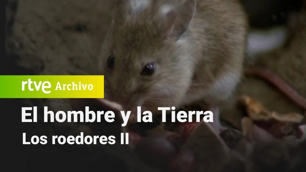 El hombre y la tierra: Capítulo 77 - Los roedores II | RTVE Archivo