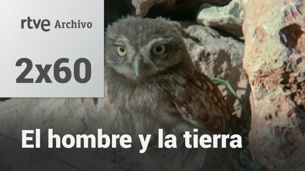 El hombre y la tierra: Capítulo 78 - Rapaces nocturnas ibéricas | RTVE Archivo