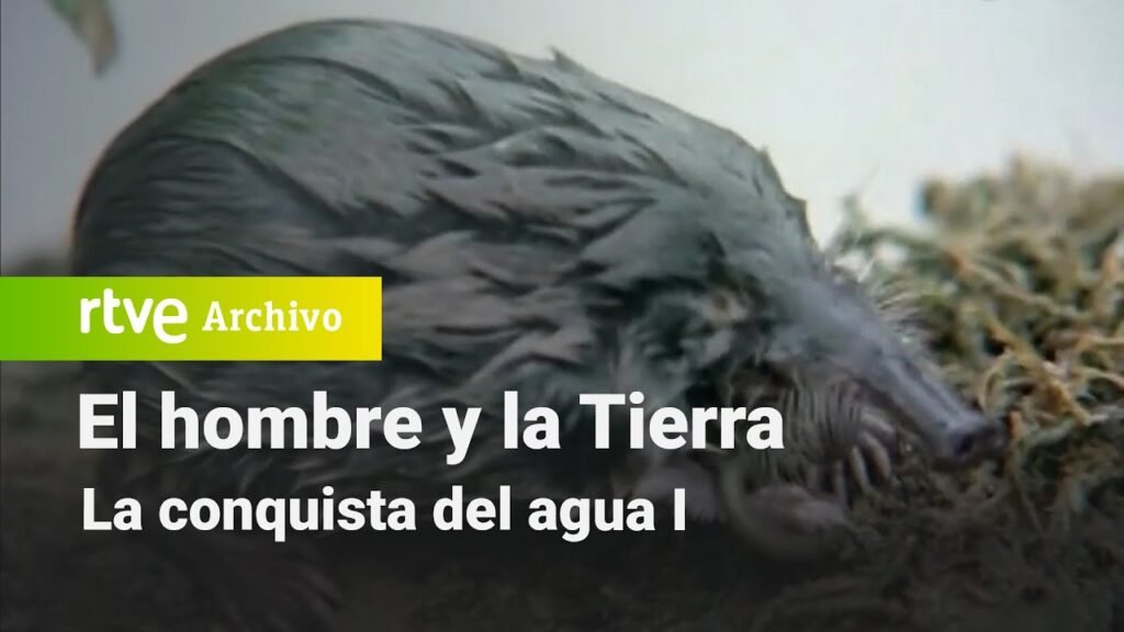 El hombre y la tierra: Capítulo 79 - La conquista del agua I | RTVE Archivo