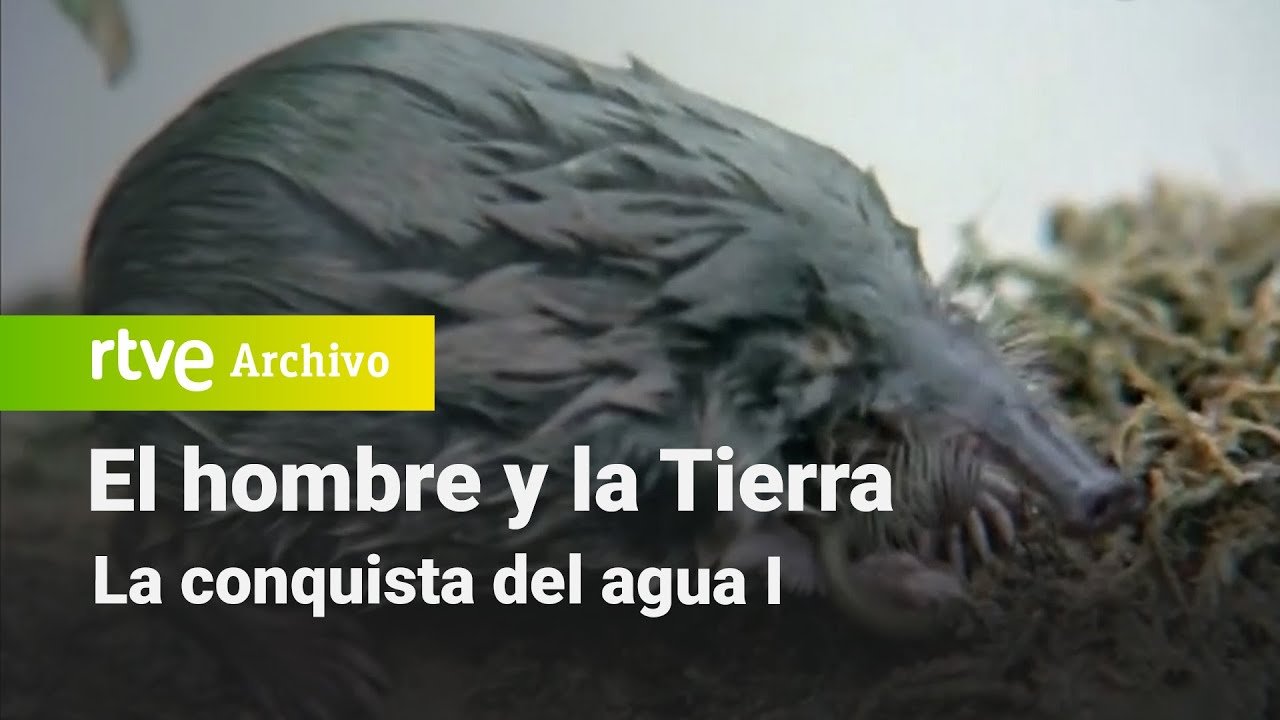 El hombre y la tierra: Capítulo 79 - La conquista del agua I | RTVE Archivo