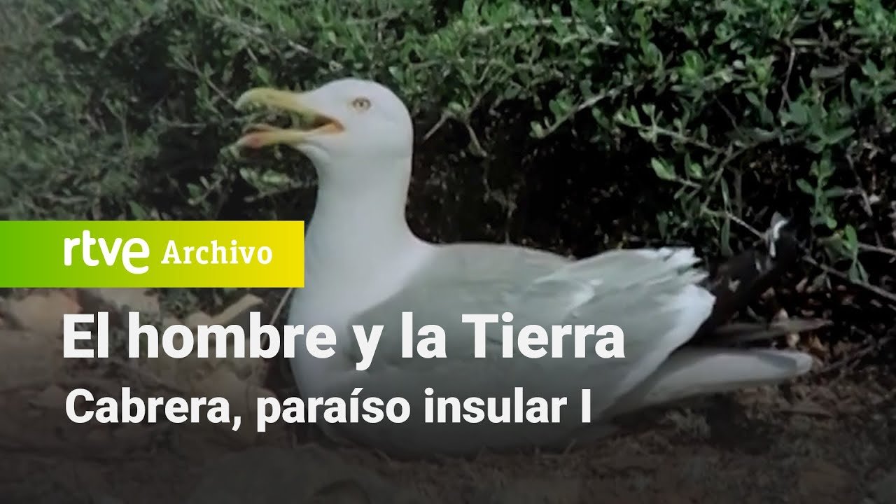 El hombre y la tierra: Capítulo 81 - Cabrera, paraíso insular I | RTVE Archivo