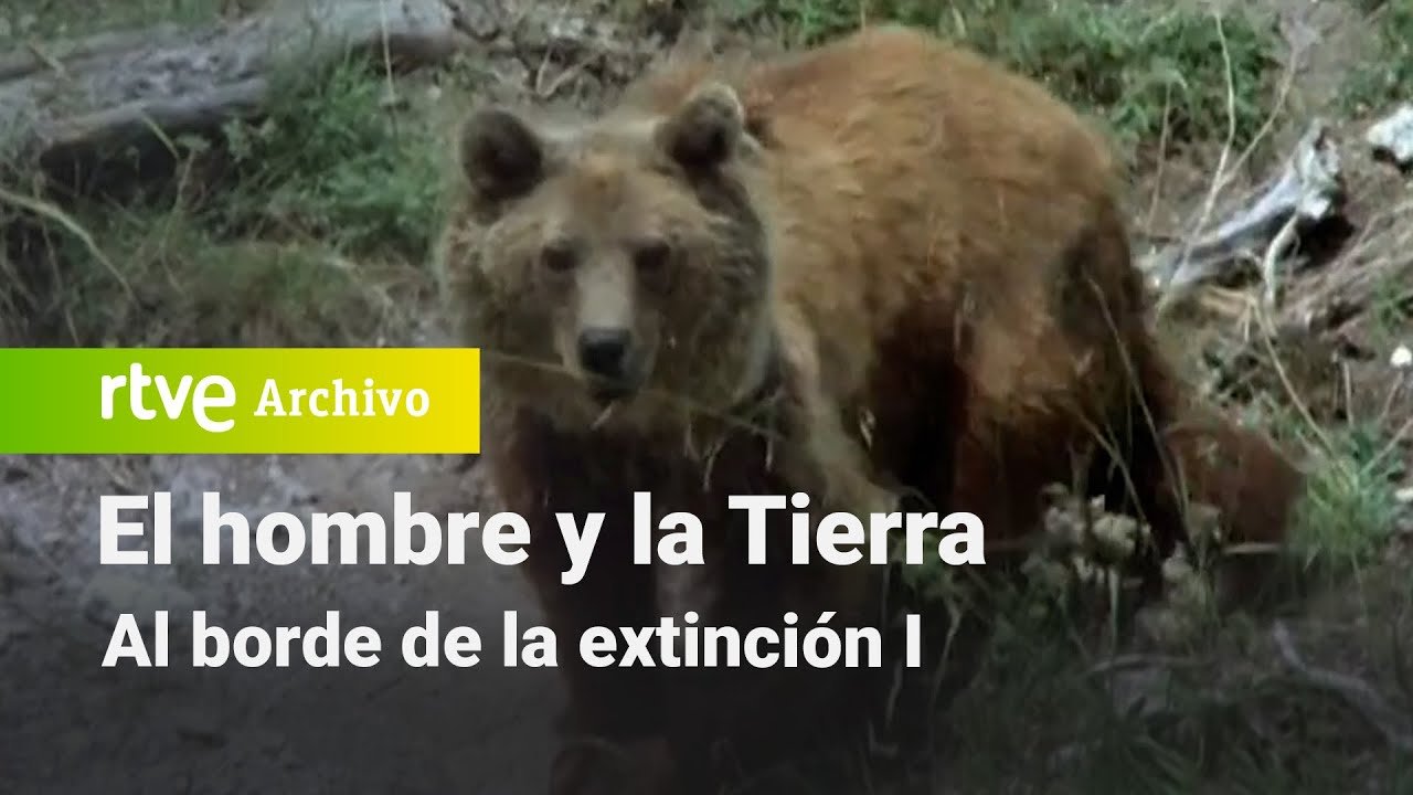 El hombre y la tierra: Capítulo 83 - Al borde de la extinción I | RTVE Archivo