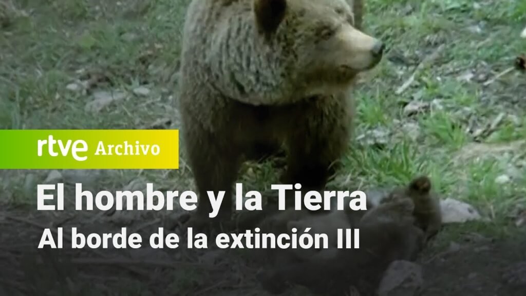 El hombre y la tierra: Capítulo 85 - Al borde de la extinción III | RTVE Archivo